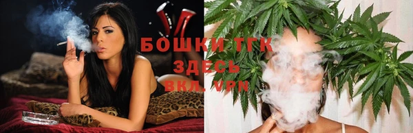 тгк Заводоуковск
