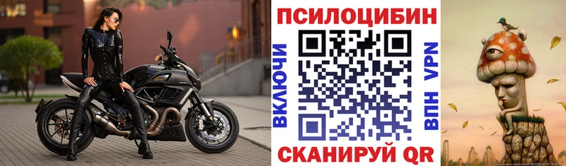 Купить закладки  Верхняя Тура  Псилоцибиновые грибы Magic Shrooms 